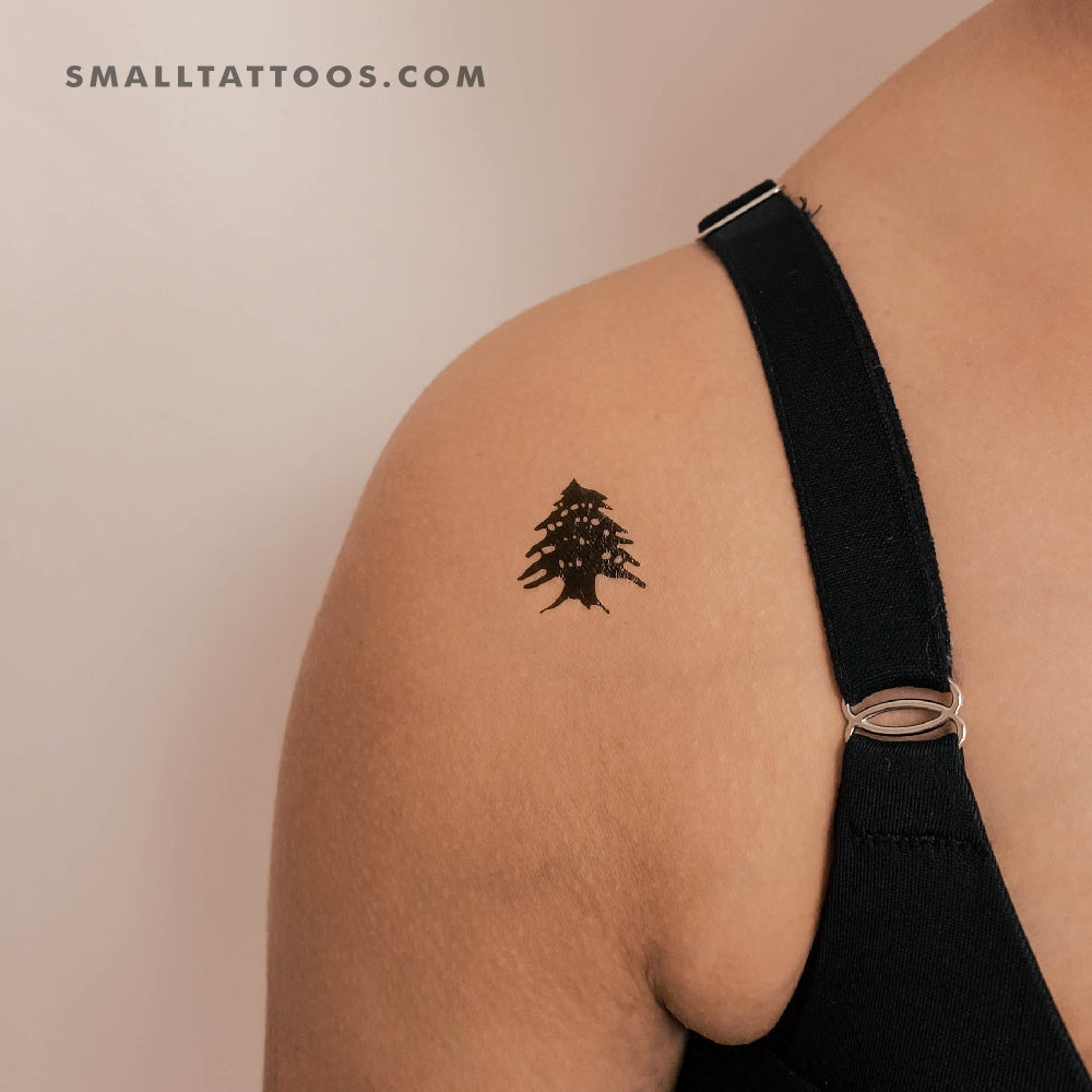 Cedar Tree Temporary Tattoo Set of 3 Small Tattoos
