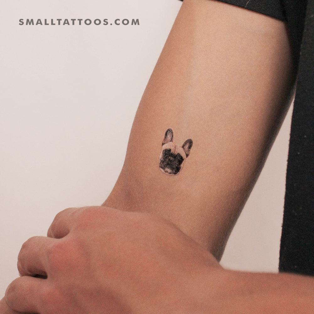 Tatuaje temporal de retrato de bulldog francés (juego de 3)
