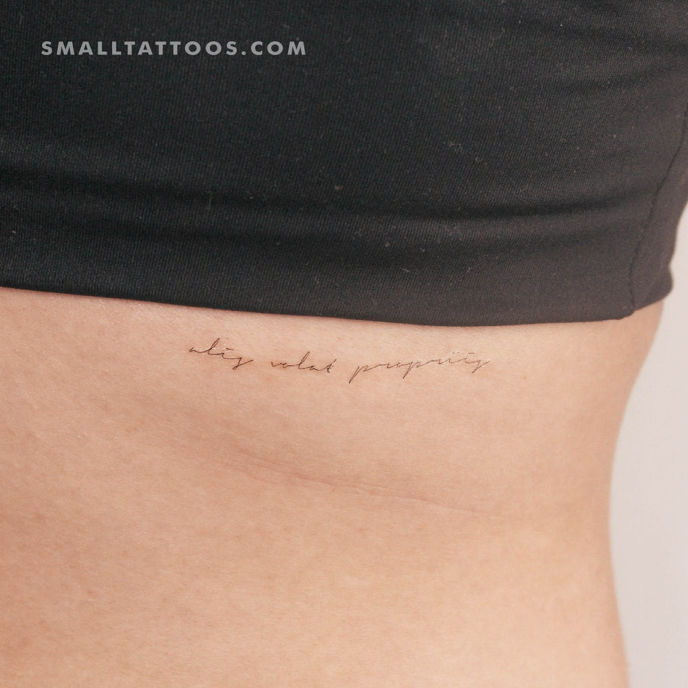 Handwritten Font Alis Volat Propriis Temporary Tattoo (Set of 3)