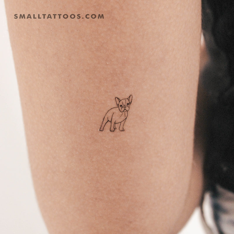 Tiny French Bulldog Temporary Tattoo (Set of 3)