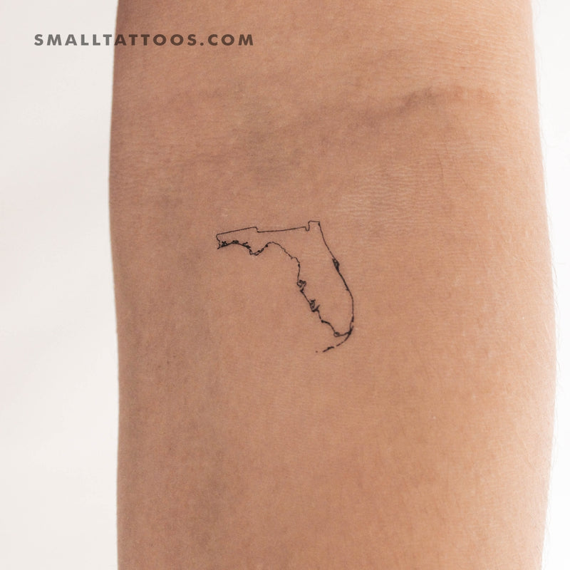 Amazon.com: Florida Gators Team Logo Temporary Tattoos : Home & Kitchen