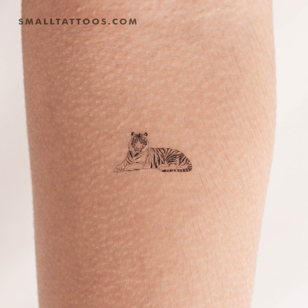 Tiger Resting Temporary Tattoo (Set of 3)