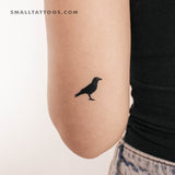 Raven Temporary Tattoo (Set of 3)