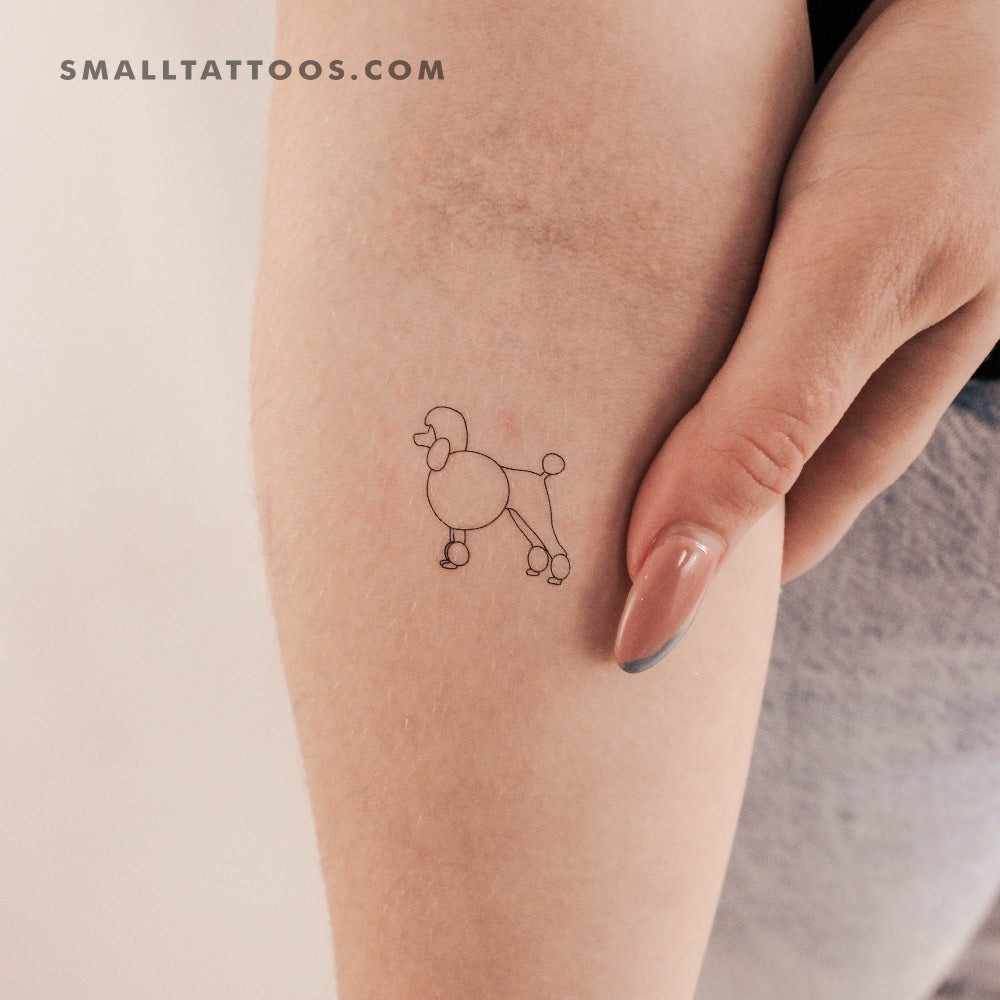 Tatuaje temporal de caniche (juego de 3)