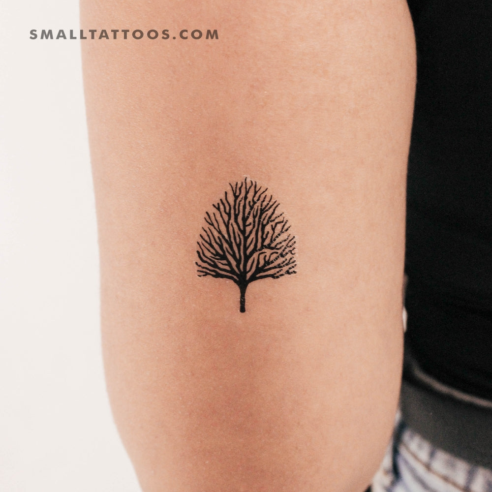Tatuaje temporal de árbol sin hojas (juego de 3)
