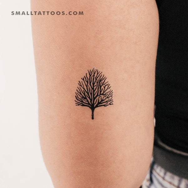 Leafless Tree Temporary Tattoo (Set of 3)