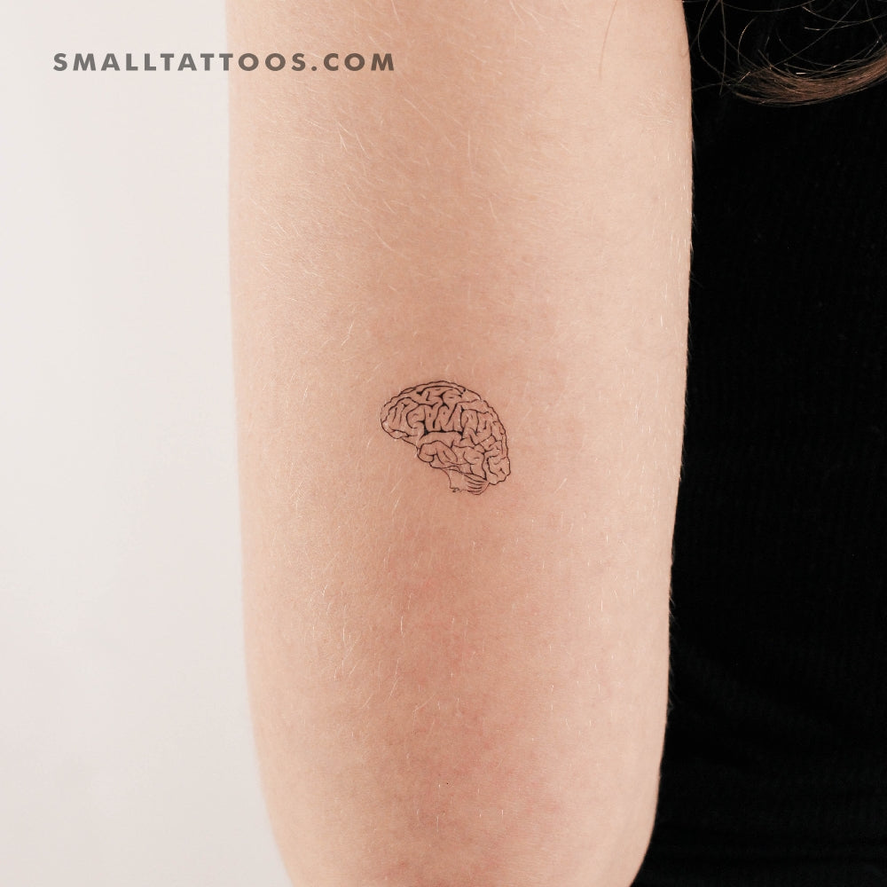 Tatuaje temporal de cerebro (juego de 3)