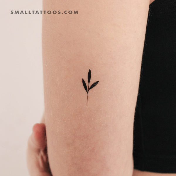 Sprout Temporary Tattoo (Set of 3)