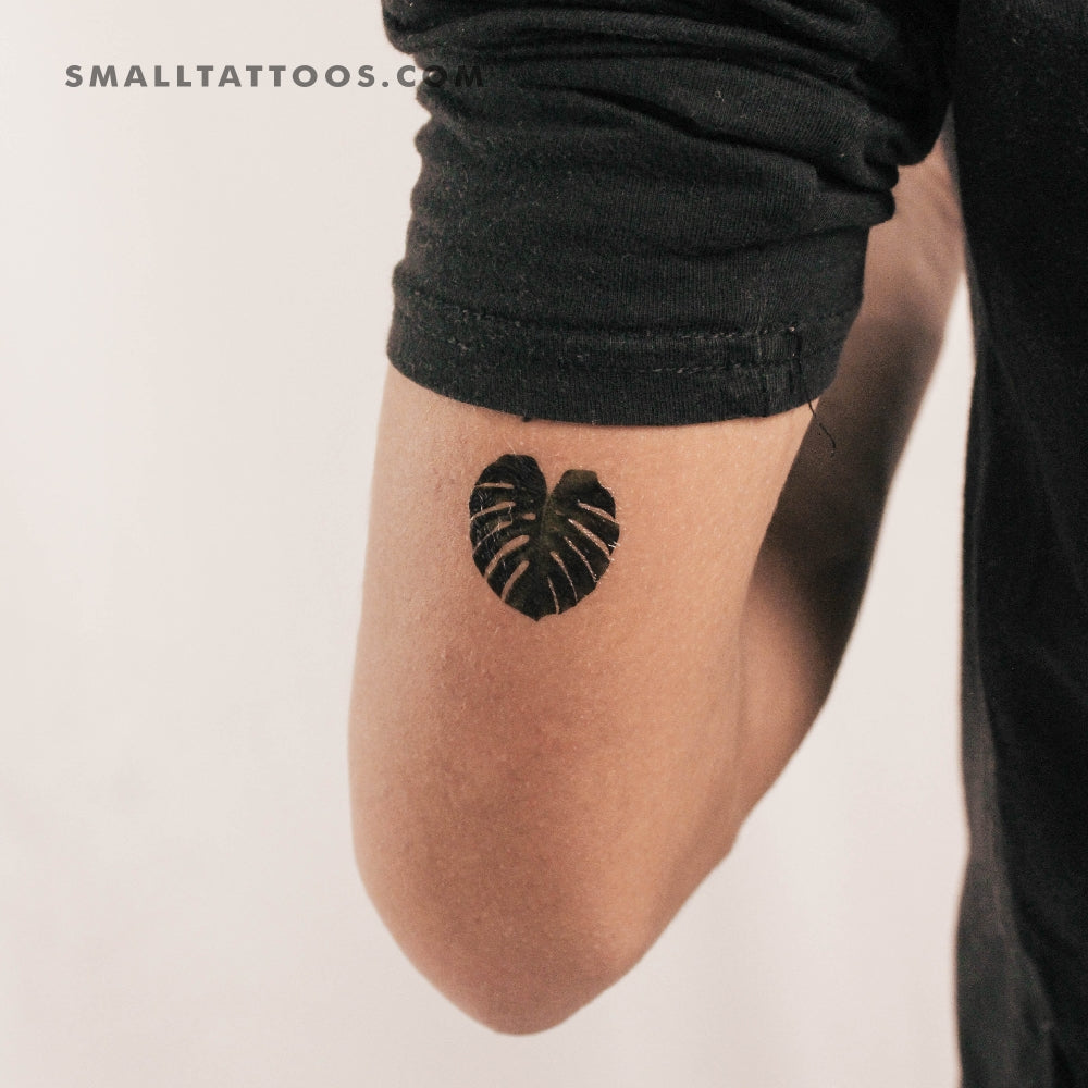 Tatuaje temporal de hoja de Monstera Deliciosa (juego de 3)
