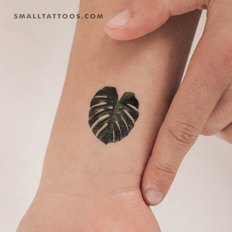 minimal monstera leaf tattoo Monstera Deliciosa Leaf Temporary Tattoo (Set of 3) – Small Tattoos