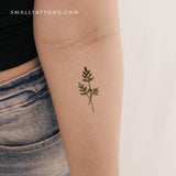 Berry Branch Temporary Tattoo by Zihee (Set of 3)