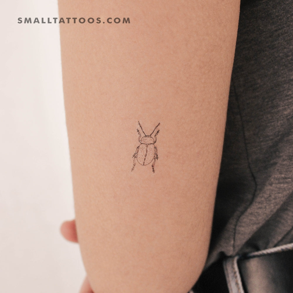 Tatuaje temporal de escarabajo (juego de 3)
