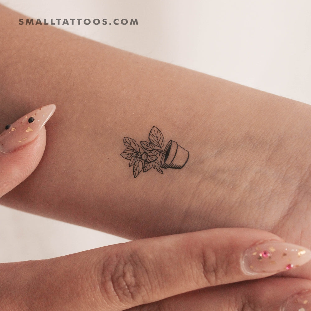 house plant tattoo ideas House Plant Temporary Tattoo (Set of 3) – Small Tattoos
