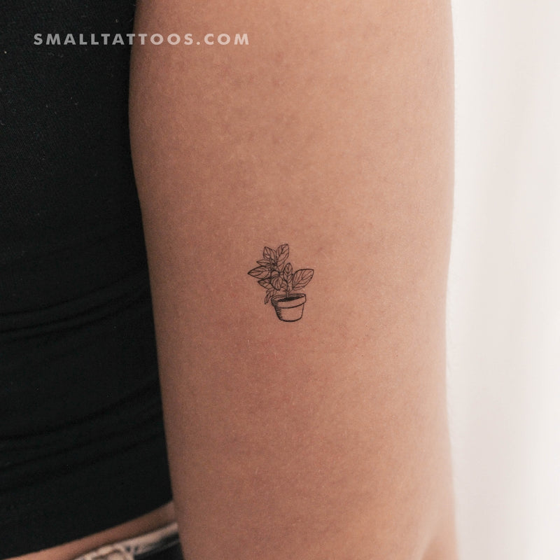house plant tattoo House Plant Temporary Tattoo (Set of 3)