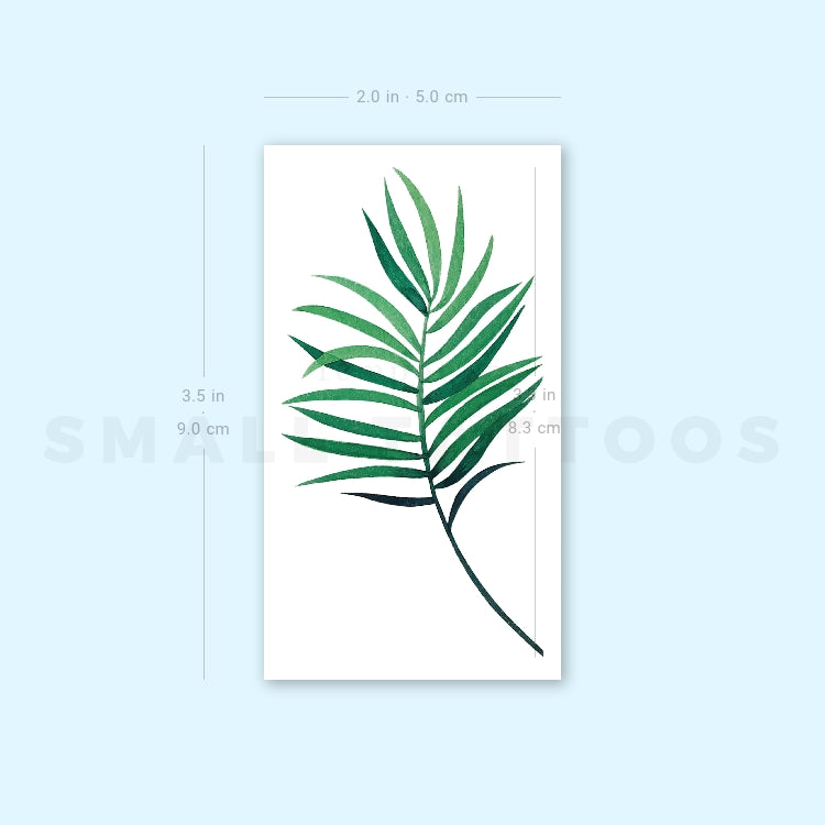 areca palm tattoo Palm Leaf Temporary Tattoo by Zihee (Set of 3) – Small Tattoos