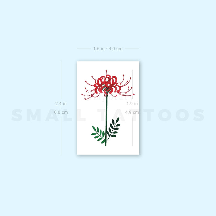 red spider lily tattoo black Red Spider Lily Temporary Tattoo by Zihee (Set of 3) – Small Tattoos