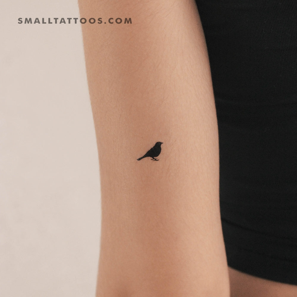 Tatuaje temporal de pájaro de pie (juego de 3)