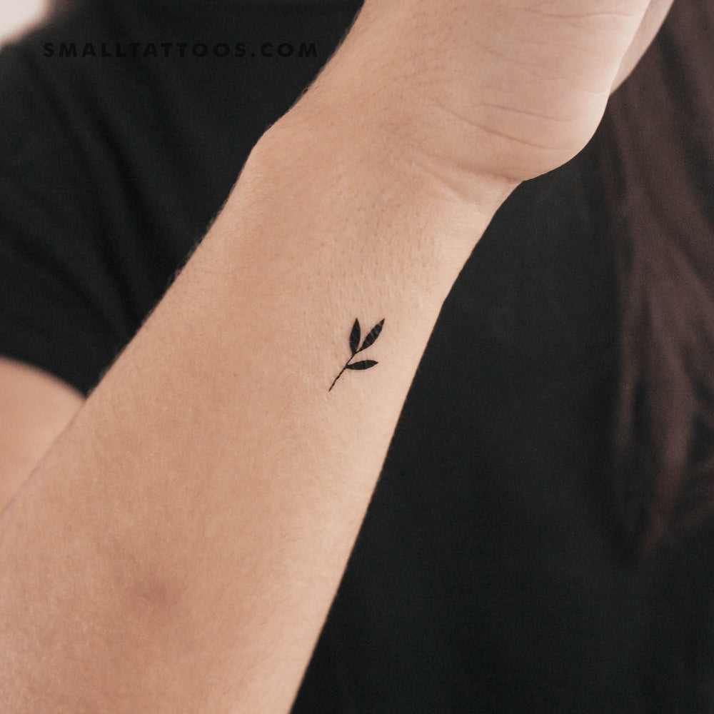 Tatuaje temporal de un pequeño brote (juego de 3)