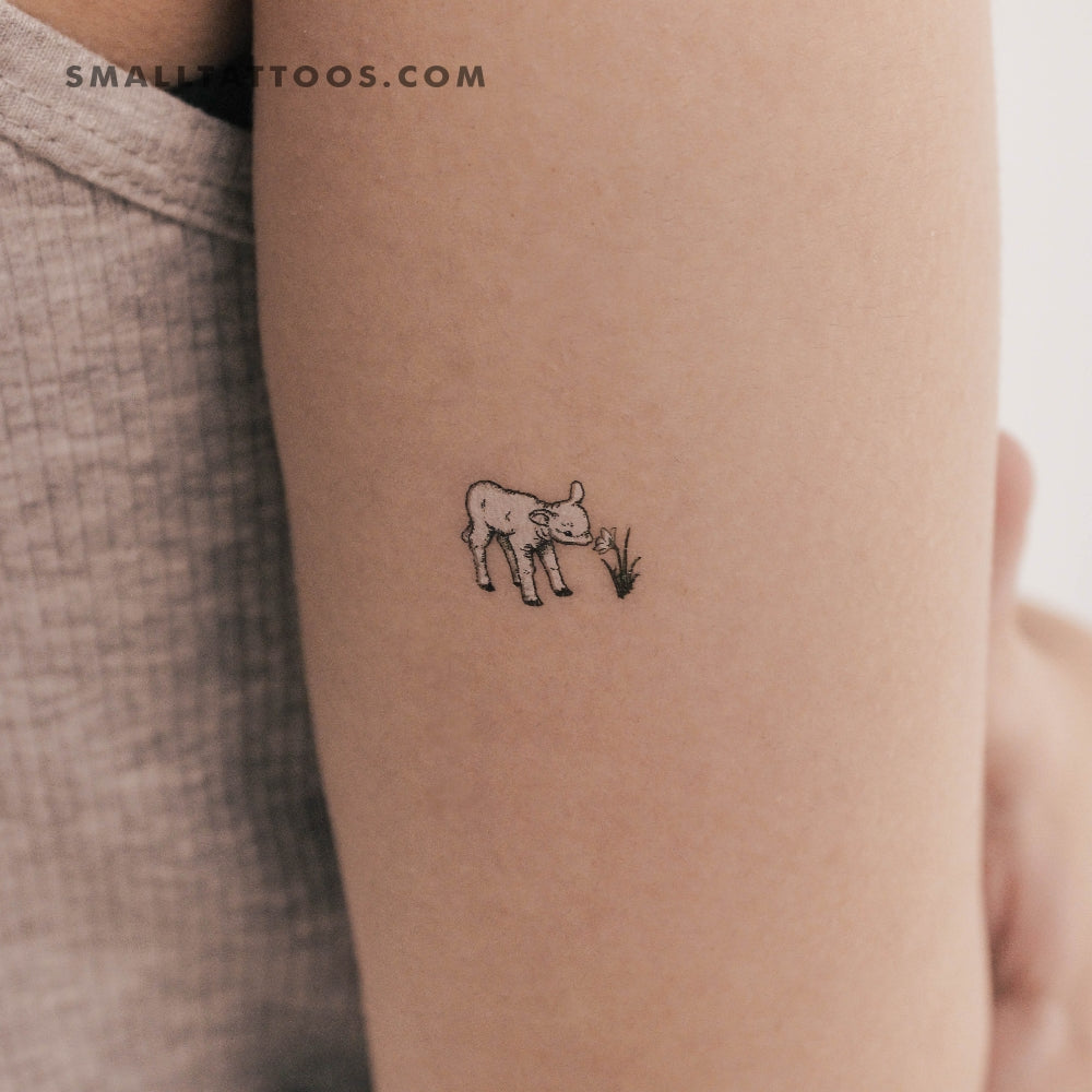 Tatuaje temporal de cordero (juego de 3)