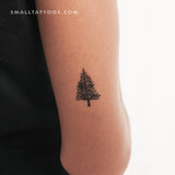 Leafless Pine Tree Temporary Tattoo - Set of 3