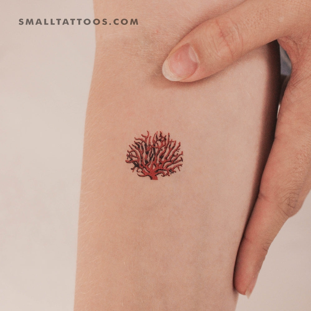Tatuaje temporal de coral rojo (juego de 3)