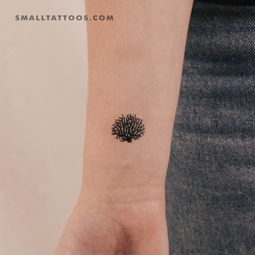 Tatuaje temporal de coral (juego de 3)