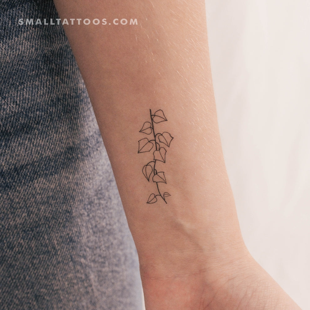 Tatuaje temporal de planta de hiedra (juego de 3)