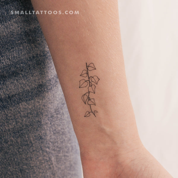 Ivy Plant Temporary Tattoo (Set of 3) – Small Tattoos