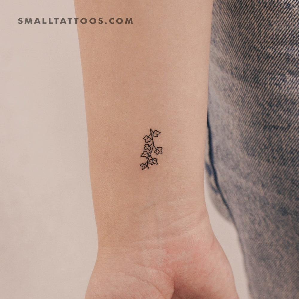 Tatuaje temporal de hiedra pequeña (juego de 3)