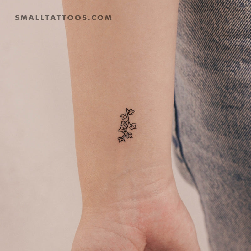 Little Ivy Temporary Tattoo (Set of 3)