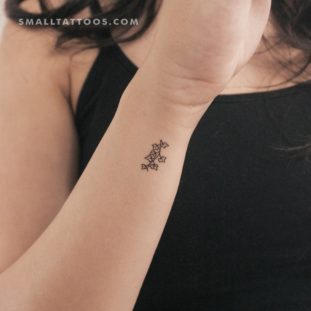 Tatuaje temporal de hiedra pequeña (juego de 3)