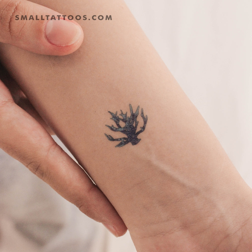 Tatuaje temporal de coral azul (juego de 3)