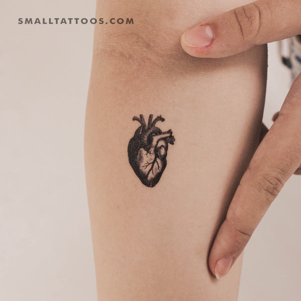 Engraving Anatomical Heart Temporary Tattoo (Set of 3)