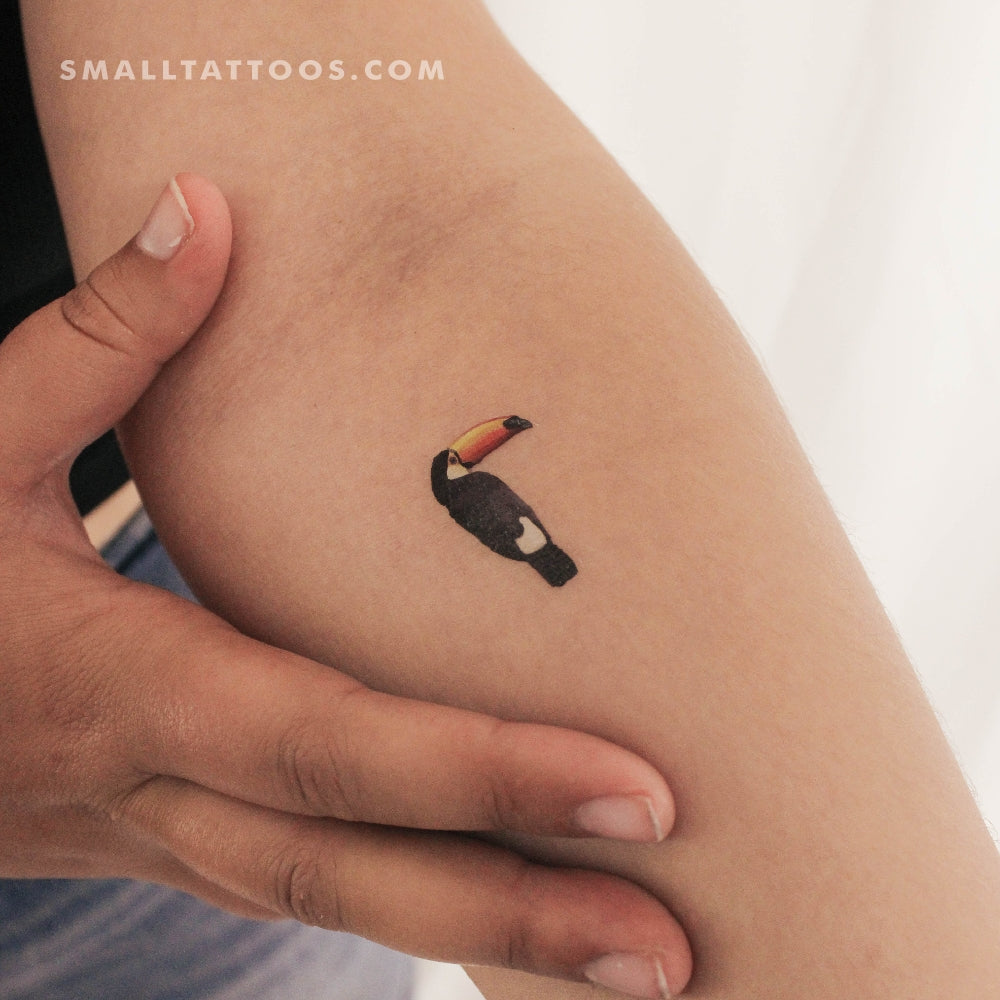 Tatuaje temporal de tucán (juego de 3)