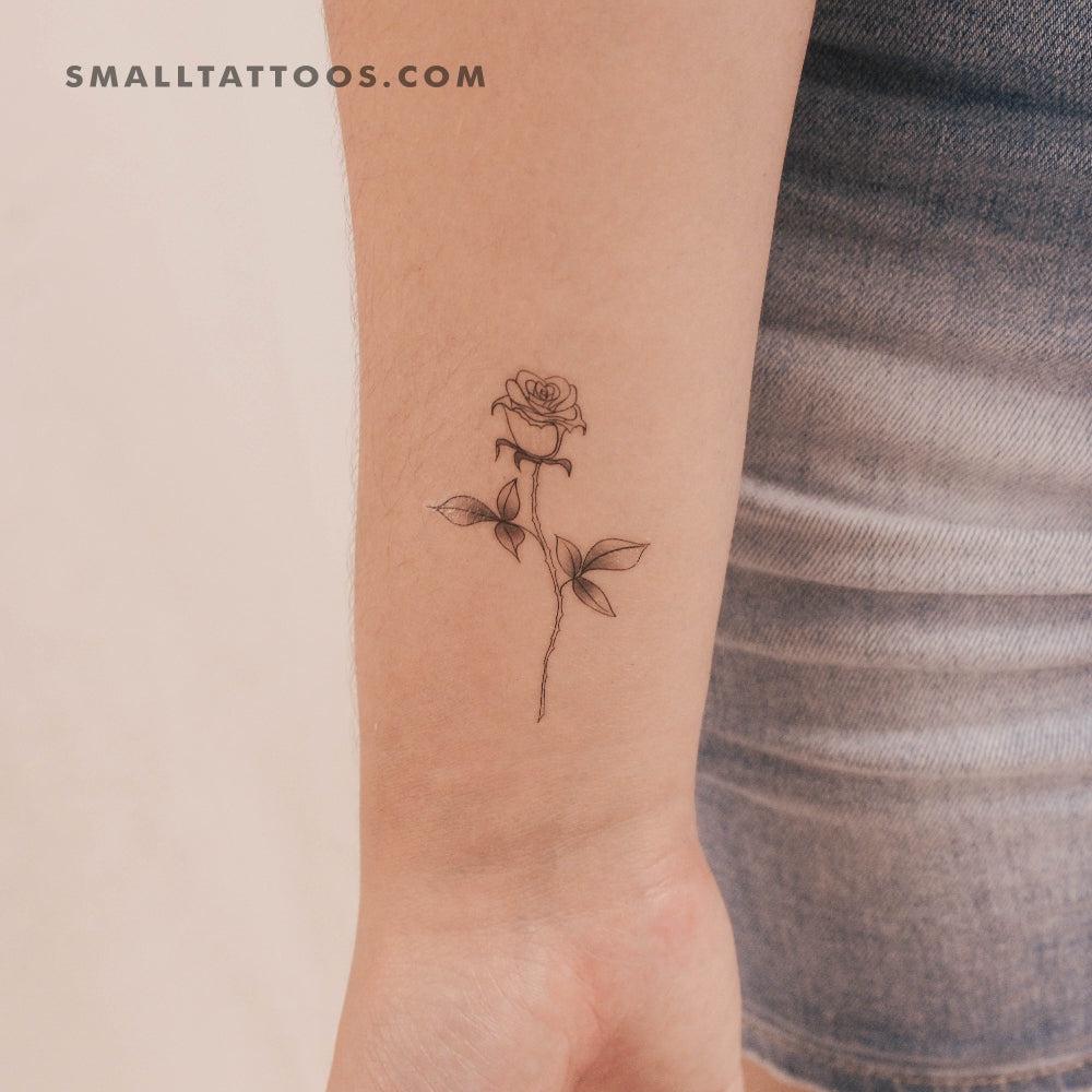 Tatuaje temporal ilustrativo de rosa (juego de 3)