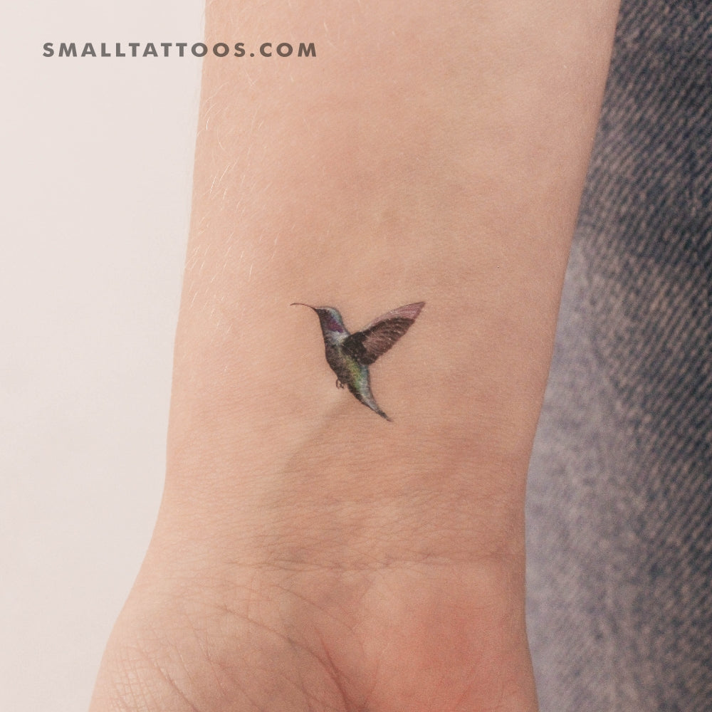 Tatuaje temporal de colibrí realista (juego de 3)