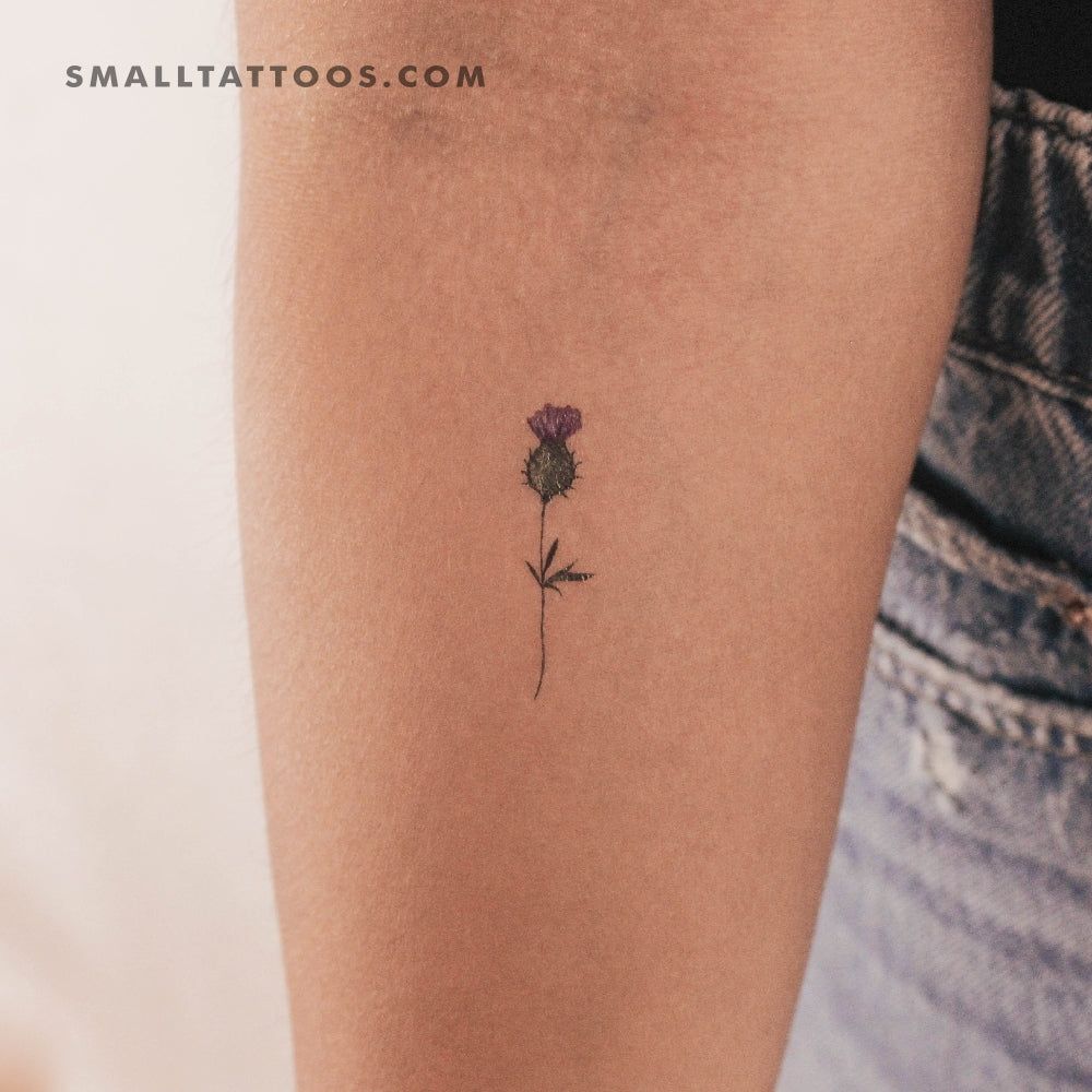 Tatuaje temporal de cardo (juego de 3)