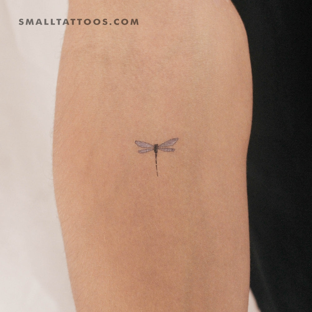 Tatuaje temporal de libélula morada (juego de 3)