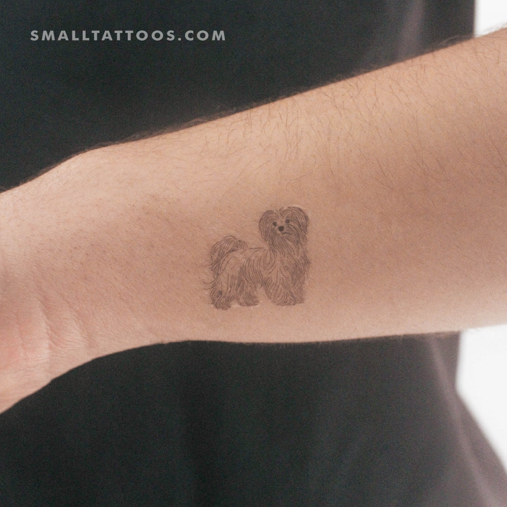 Tatuaje temporal pequeño de maltés (juego de 3)