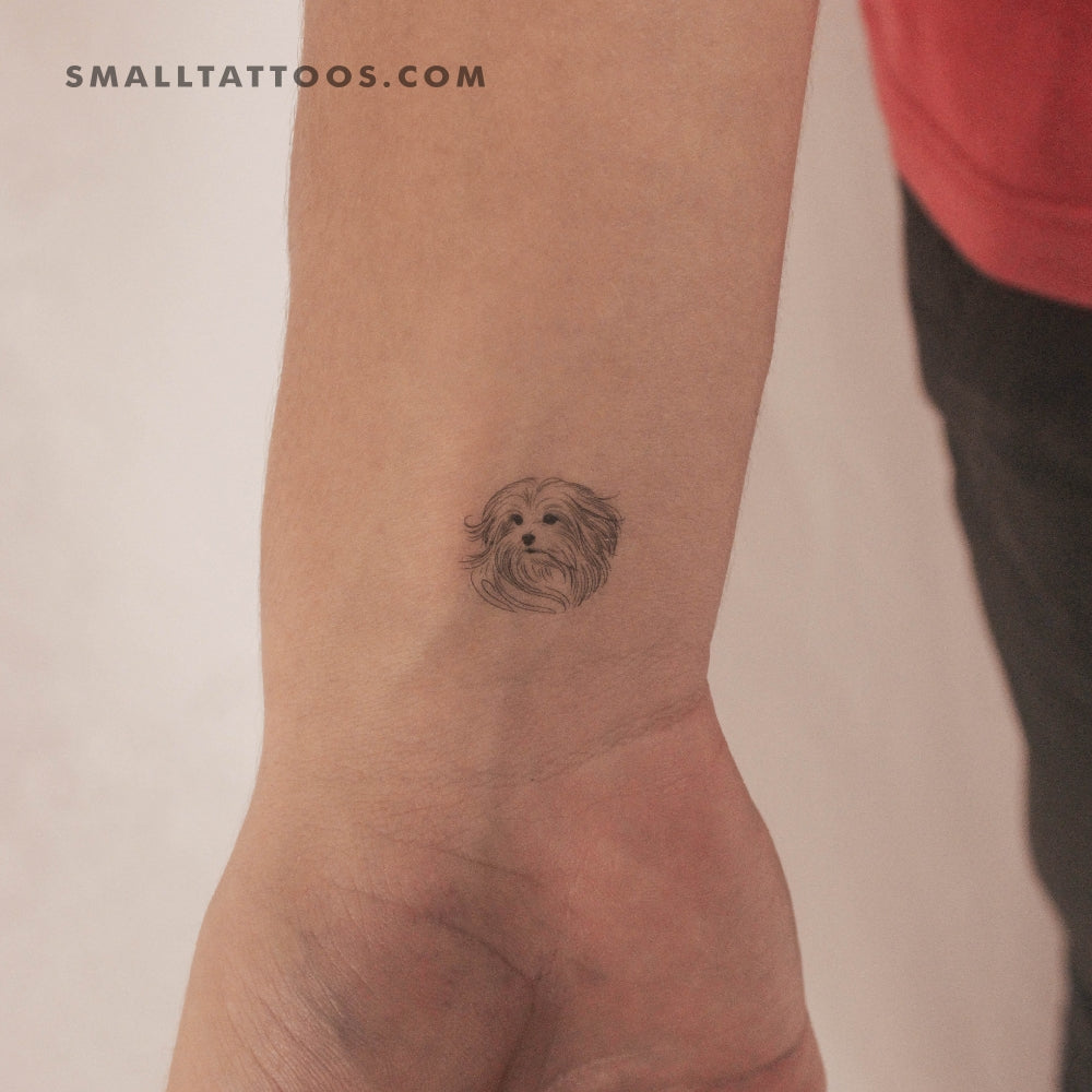 Tatuaje temporal de retrato maltés (juego de 3)