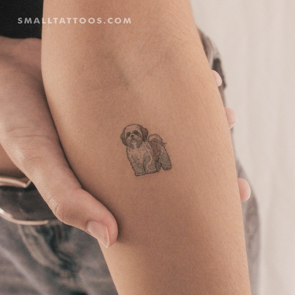 Tatuaje temporal de Shih Tzu (juego de 3)