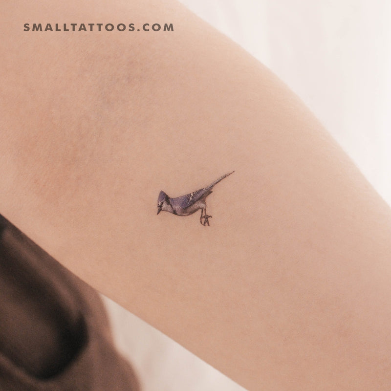 Blue Jay Temporary Tattoo (Set of 3)