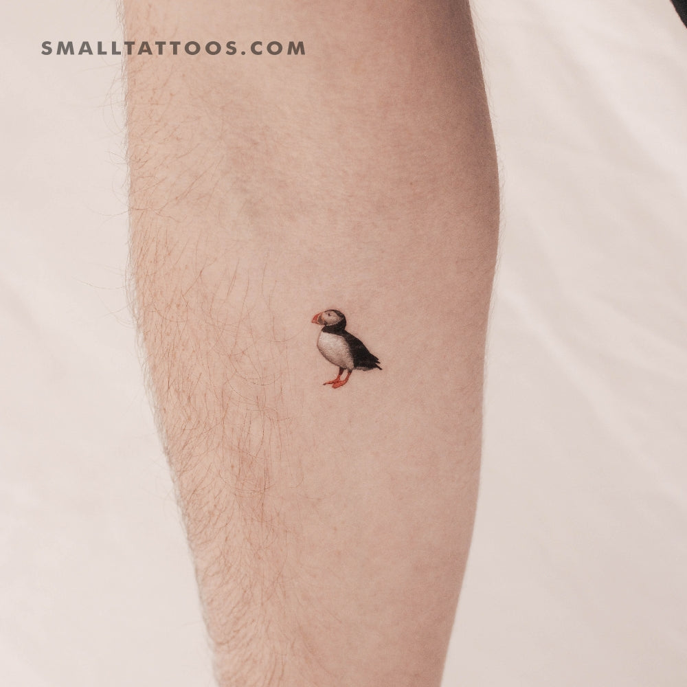 Tatuaje temporal de frailecillo (juego de 3)
