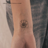 Ammonite Shell Temporary Tattoo (Set of 3)