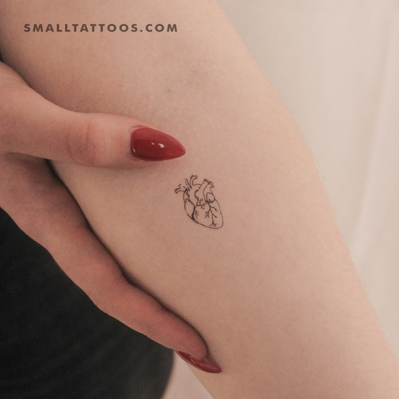 Small Anatomical Heart Temporary Tattoo (Set of 3)