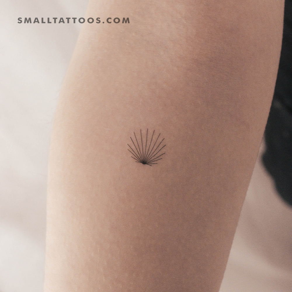 Tatuaje temporal de concha minimalista diminuta - Juego de 3