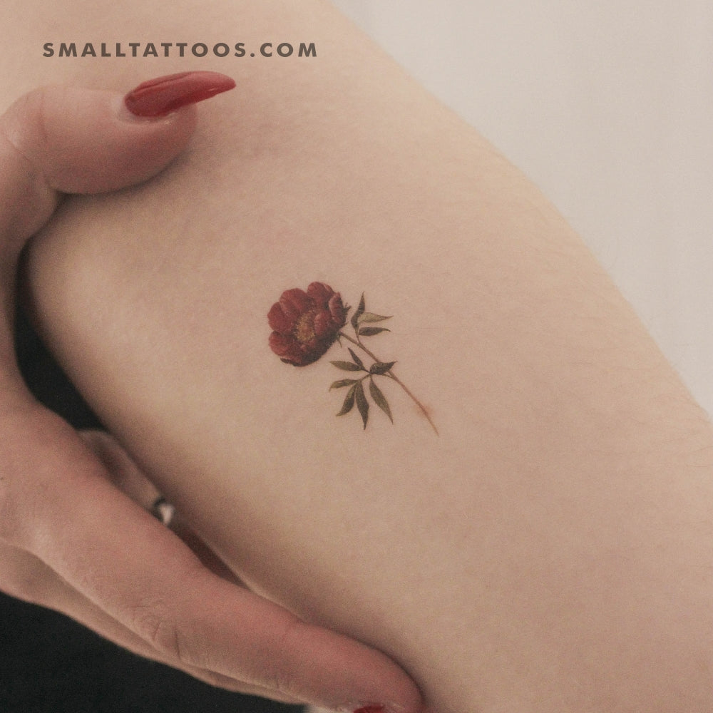 Garnet Peony Temporary Tattoo (Set of 3)