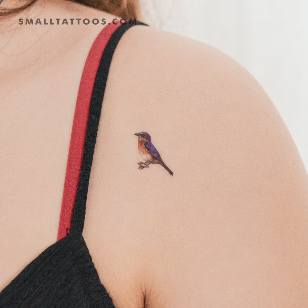 Tatuaje temporal de pájaro azul oriental (juego de 3)