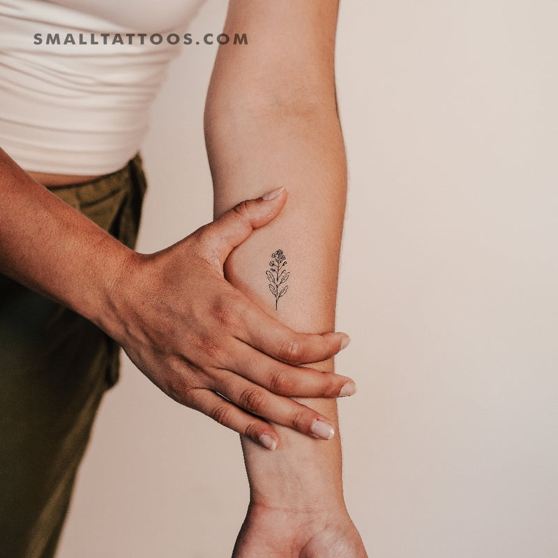 plant seed tattoo Mustard Plant Temporary Tattoo (Set of 3)