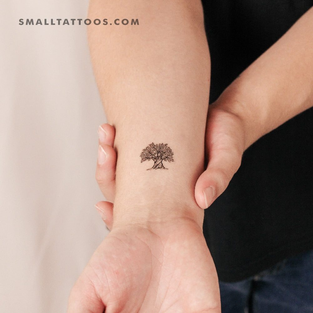 Tatuaje temporal de olivo (juego de 3)